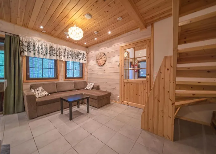 Arcticfox Levi * Kittilä